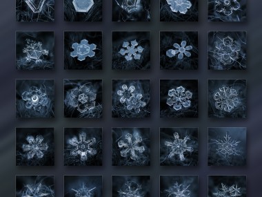 Alexey Kljatov- ChaoticMind75 – snowflake cristal macro photography