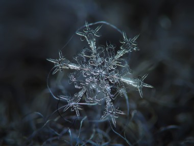 Alexey Kljatov- ChaoticMind75 – snowflake cristal macro photography
