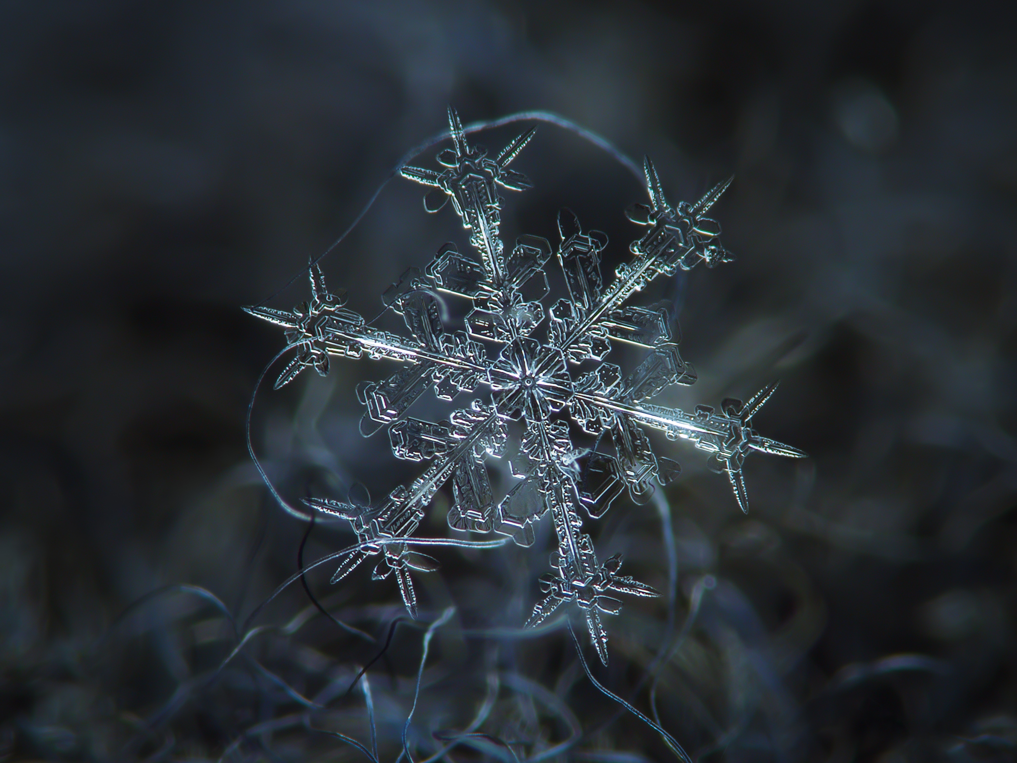 Alexey Kljatov- ChaoticMind75 – snowflake cristal macro photography