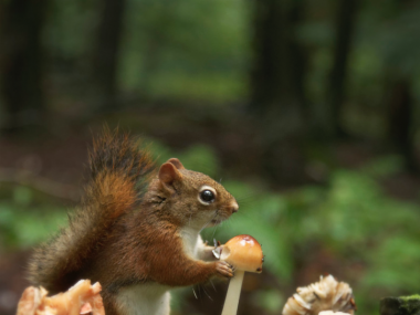 Andre Villeneuve – Fresh from the morning