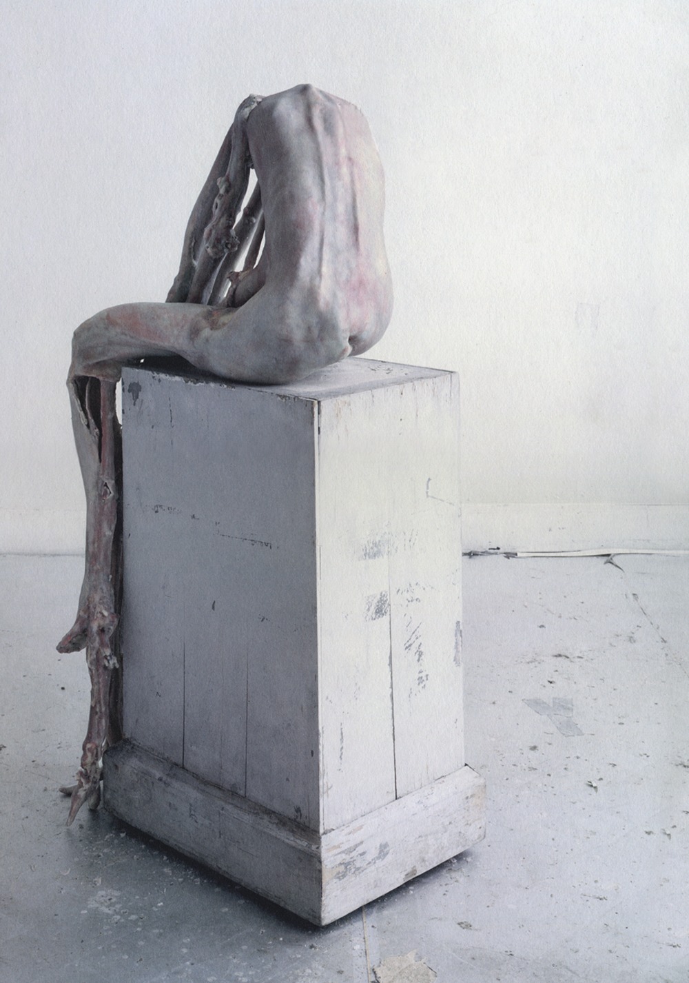 Berlinde De Bruyckere – sculptures macabres2