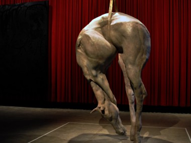 Berlinde de Bruyckere – sculpture horse