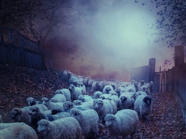 Caras Ionut – Backyard Ghost  / Creative Photo Manipulations