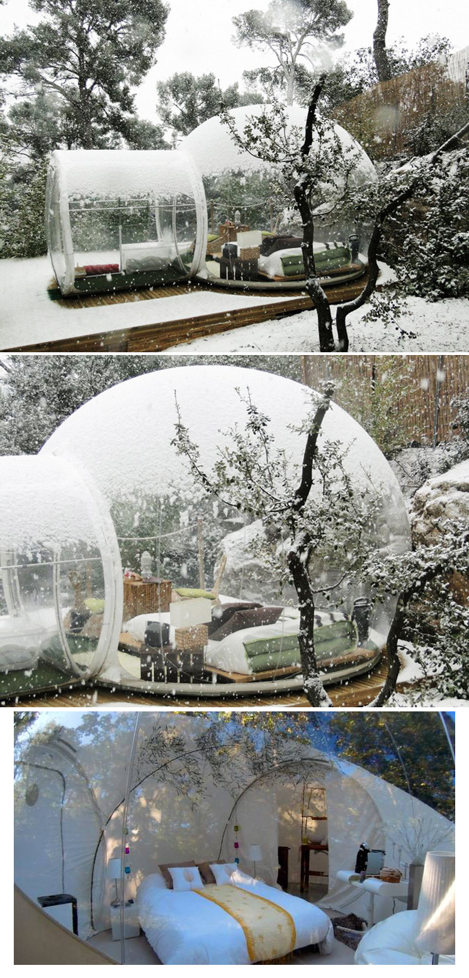 Cristal bubble room - Bubble tree