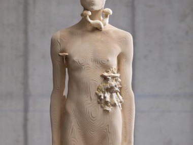 Aron Demetz – Pholiota Denuntians Bois d’érable et silicone, 200 x 50 cm, 2011