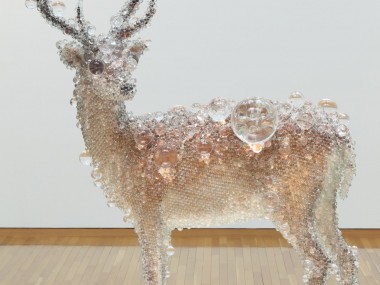 Taxidermy Sculptures by Kohei Nawa