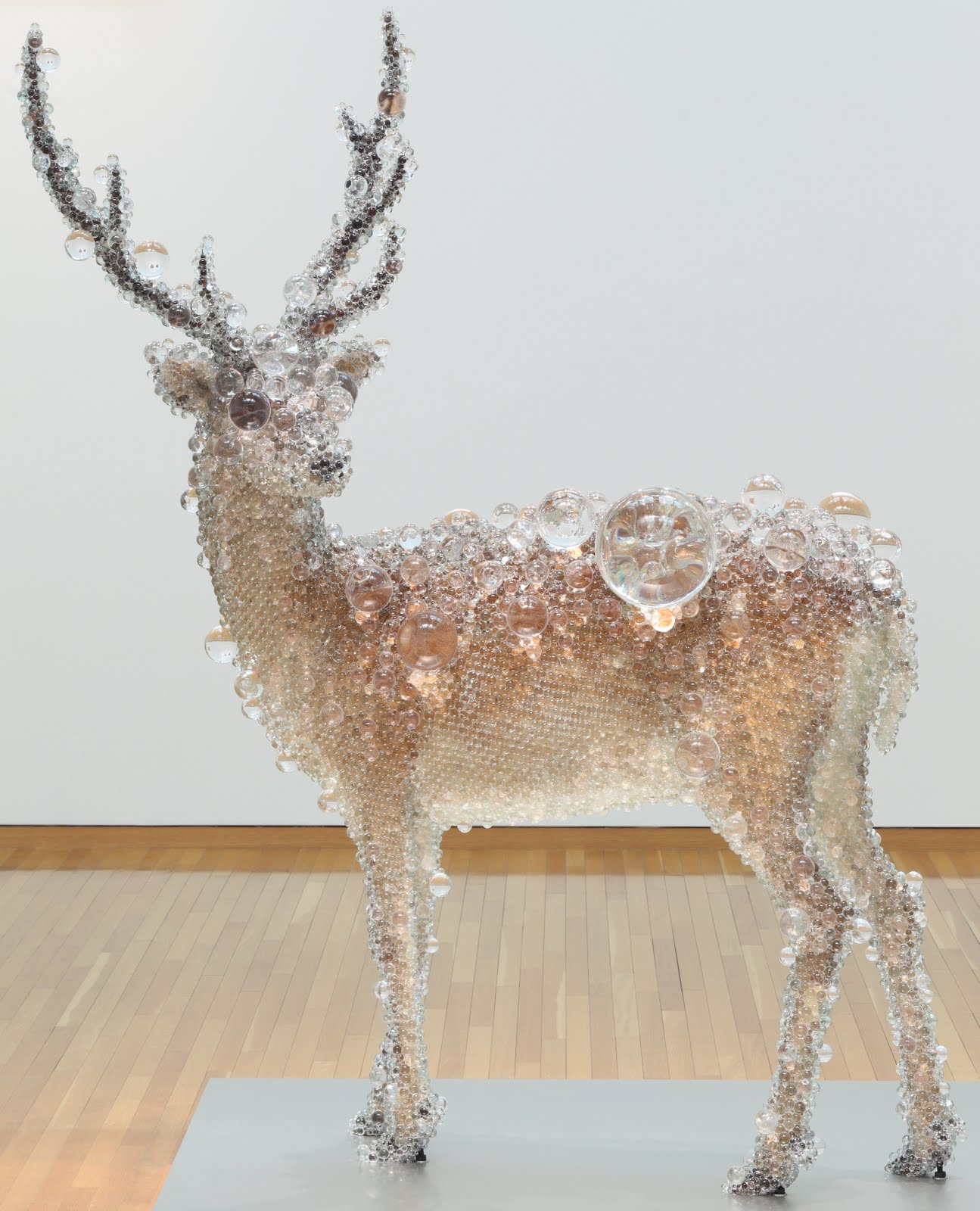 Taxidermy Sculptures by Kohei Nawa
