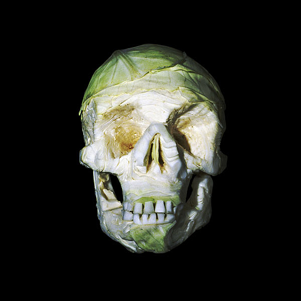 fruit-skull sculptures -Dimitri Tsykalov