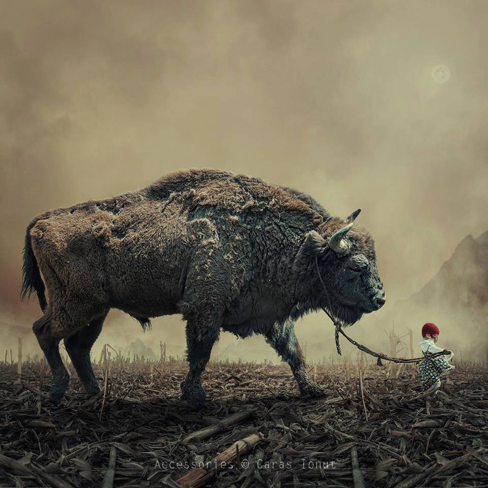 © Caras Ionut  – accessories / Creative Photo Manipulations