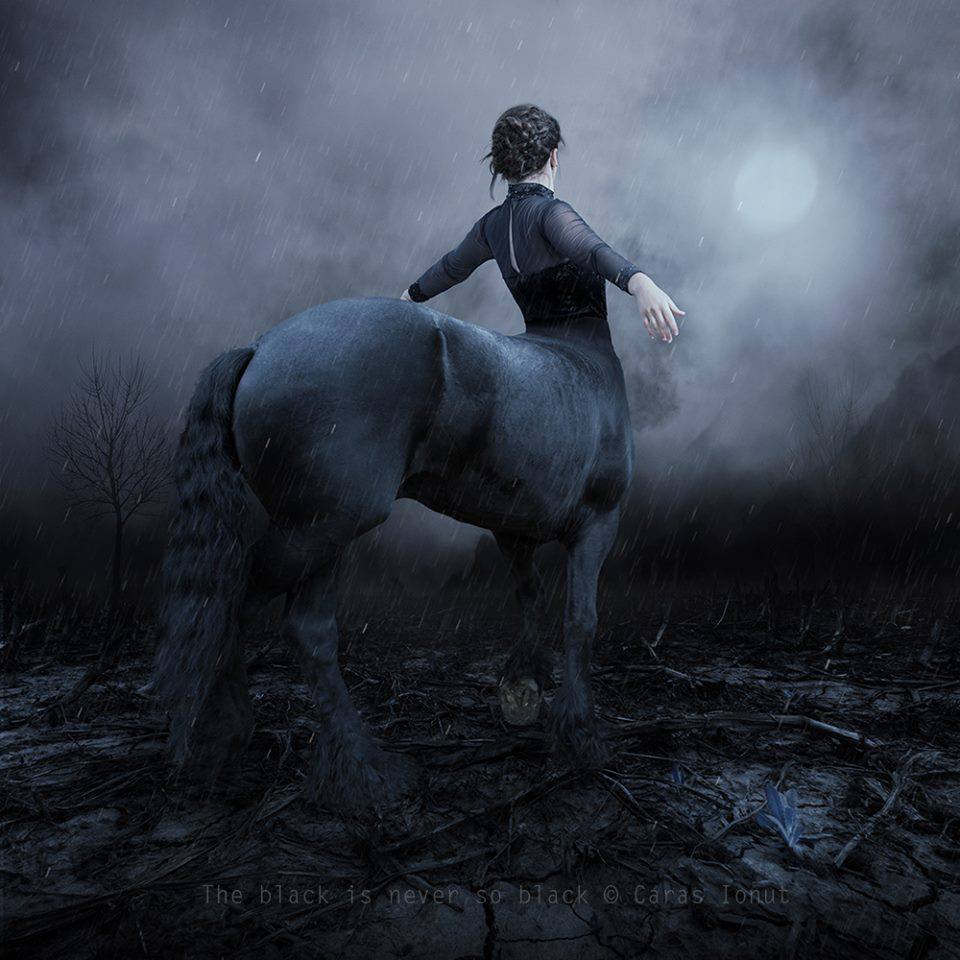 © Caras Ionut – the black is never so black / Creative Photo Manipulations