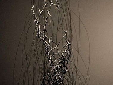 Anne Mudge -Sampler- Stainless steel wire, fiber, asphaltum