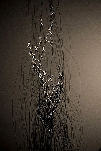 Anne Mudge -Sampler- Stainless steel wire, fiber, asphaltum