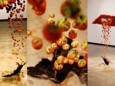 Caire Morgan – Fluid taxidermied crow and strawberries collide