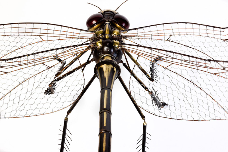 Edouard Martinet – Dragonfly detail – 37″ x 49″ x 15″ / steampunk sculpture art