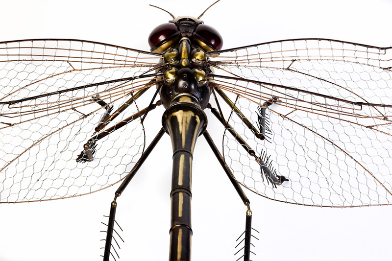 Edouard Martinet – Dragonfly detail – 37″ x 49″ x 15″ / steampunk sculpture art