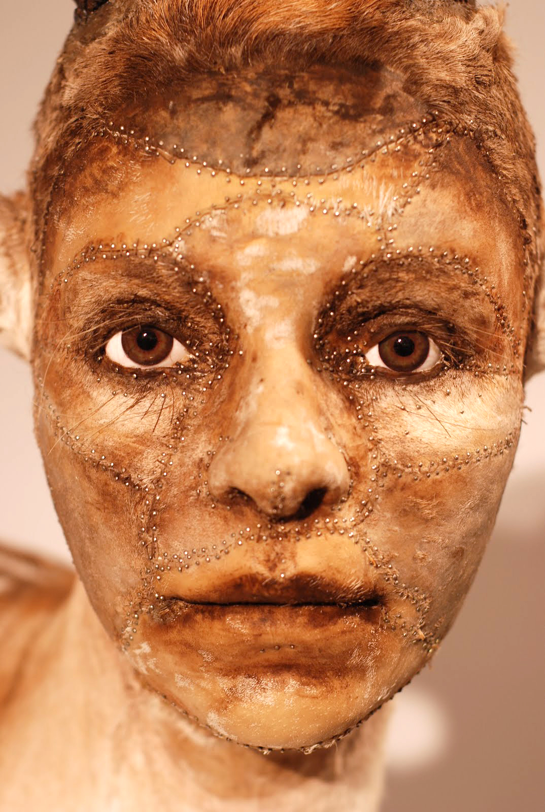 Kate Clark – taxidermie art sculpture animal / Human detail head