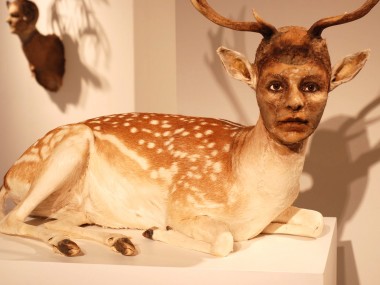 Kate Clark – taxidermie art sculpture animal / Human