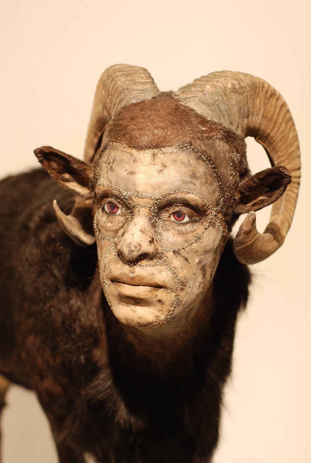 Kate Clark – taxidermie art