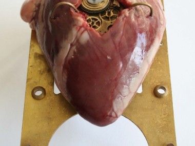 Lisa Black – Heart / Taxidermy sculpture art