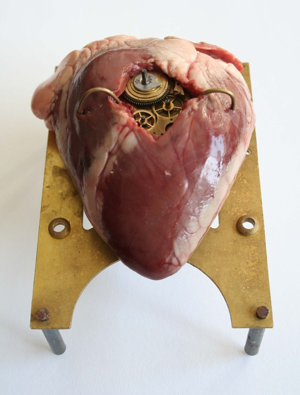 Lisa Black – Heart / Taxidermy sculpture art