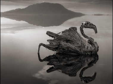 Nick Brandt – Tanzania lake