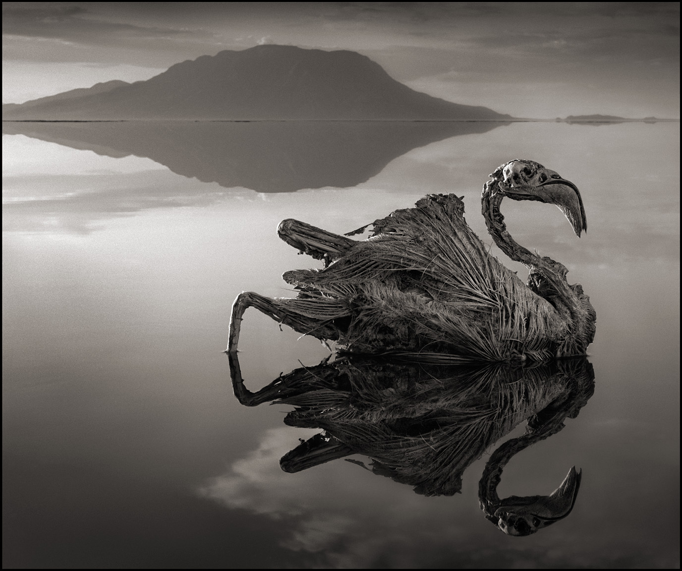 Nick Brandt – Tanzania lake