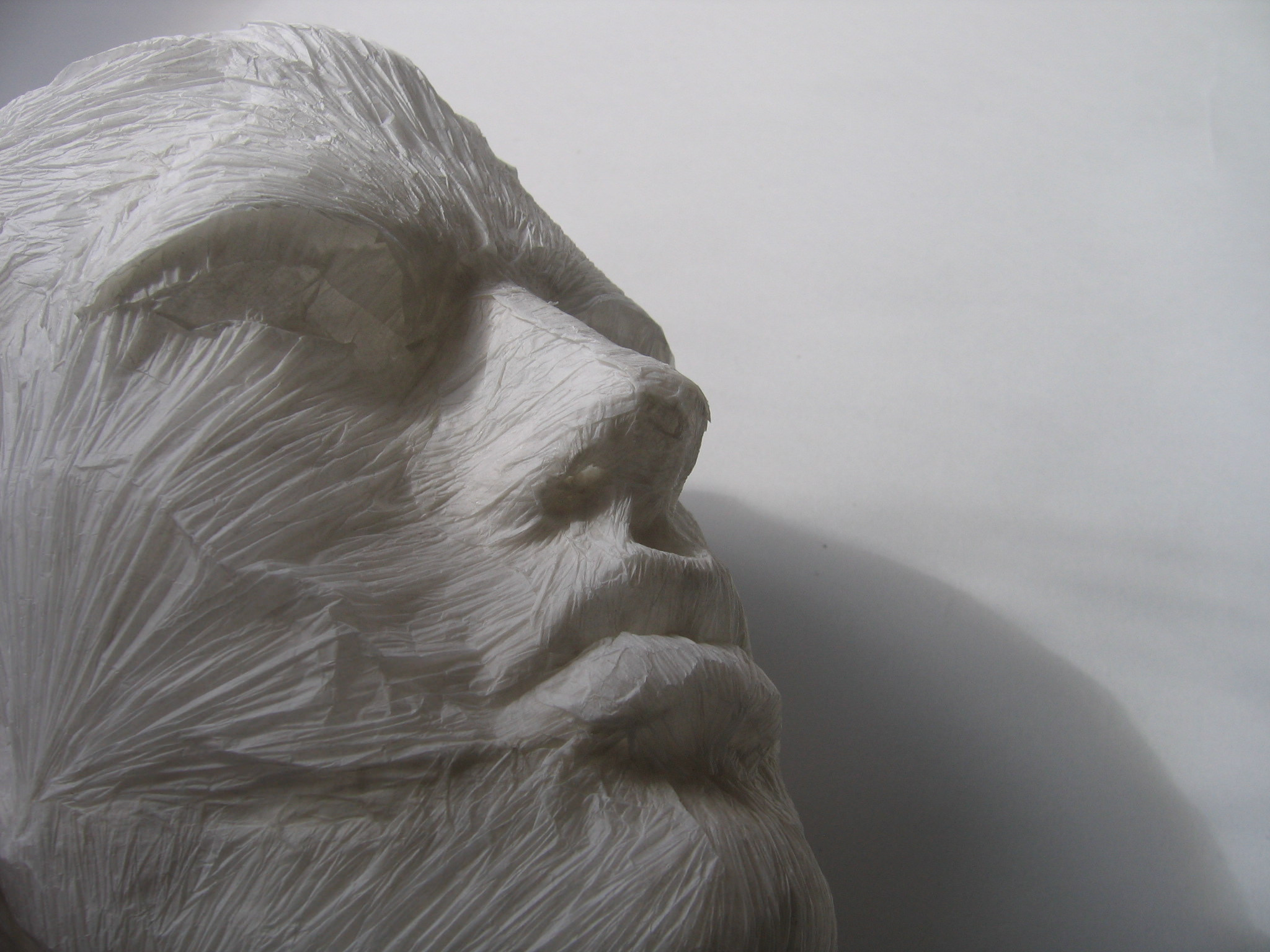 Paper Sculpture – Tissue Paper Facial Musculature