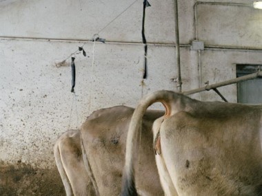 Peter Marlow, ITALY. Lombardy. The Lombardy Alps Project.  Chiesa Valmalenco. 2004.