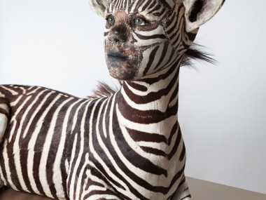 kate clark – taxidermy sculptures – She Gets What She Wants