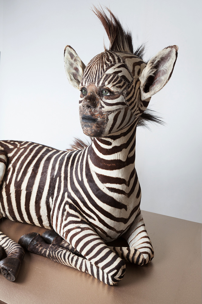 kate clark – taxidermy sculptures – She Gets What She Wants