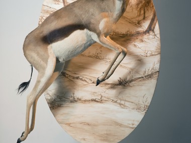 kate clark – taxidermy sculptures « Charmed »