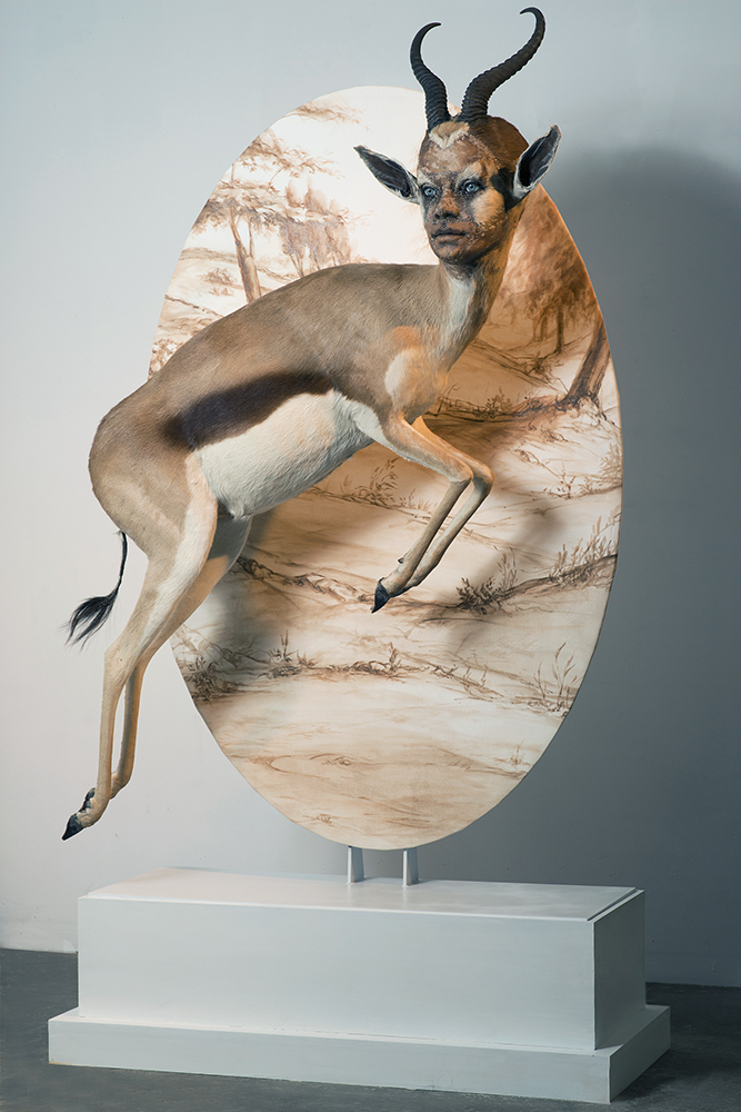 kate clark – taxidermy sculptures « Charmed »