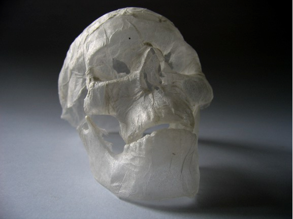 polyscene – tissue paper sculpture – skull