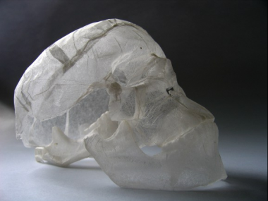 polyscene – tissue paper sculpture – skull