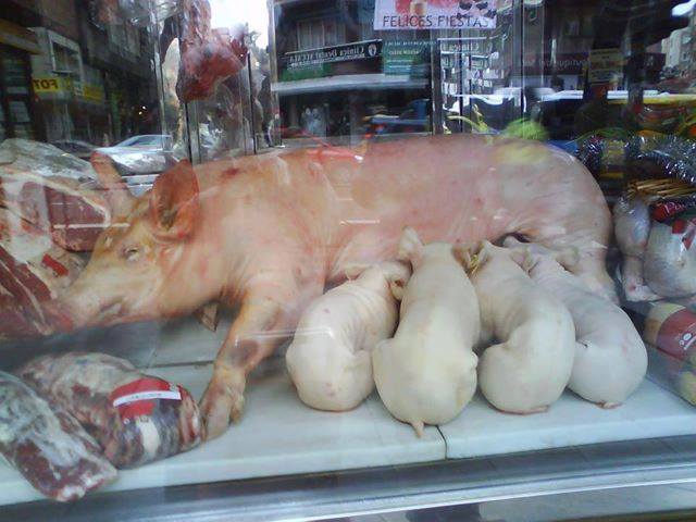 vitrine noel Barcelone - boucherie, cochon, pig