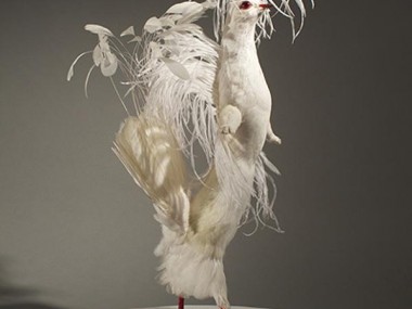 Enrique Gomez de Molina – Taxidermy Sculptures