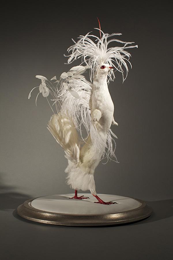 Enrique Gomez de Molina – Taxidermy Sculptures