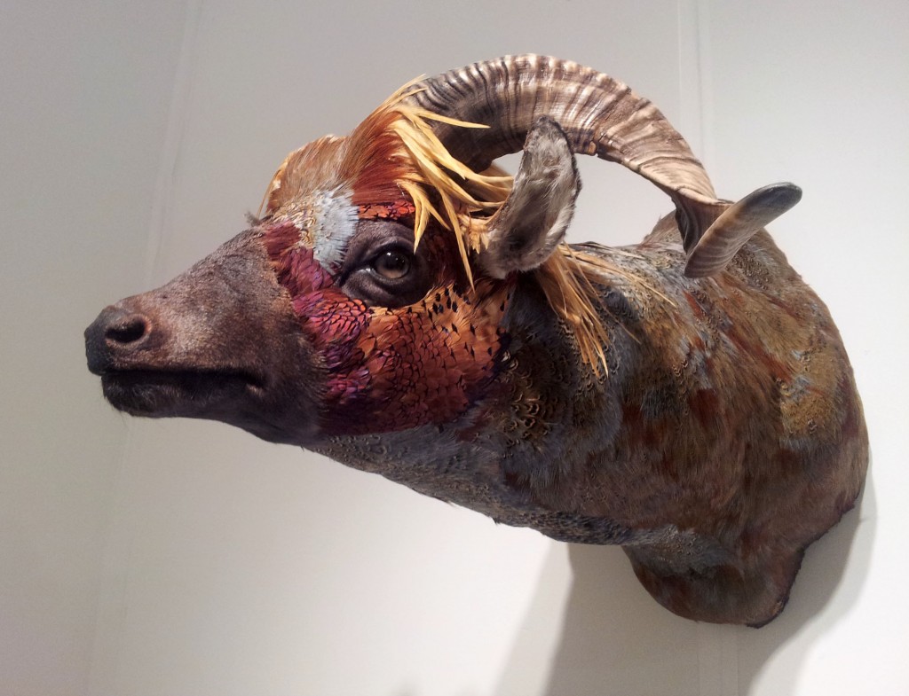 Enrique Gomez de Molina - sculptures taxidermy hybrid