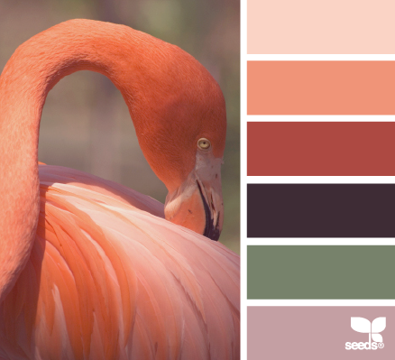 FlamingoTones_1 – design-seeds – choix teintes, tons, couleurs