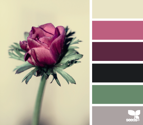 FloraHues_22 – design-seeds – choix teintes, tons, couleurs