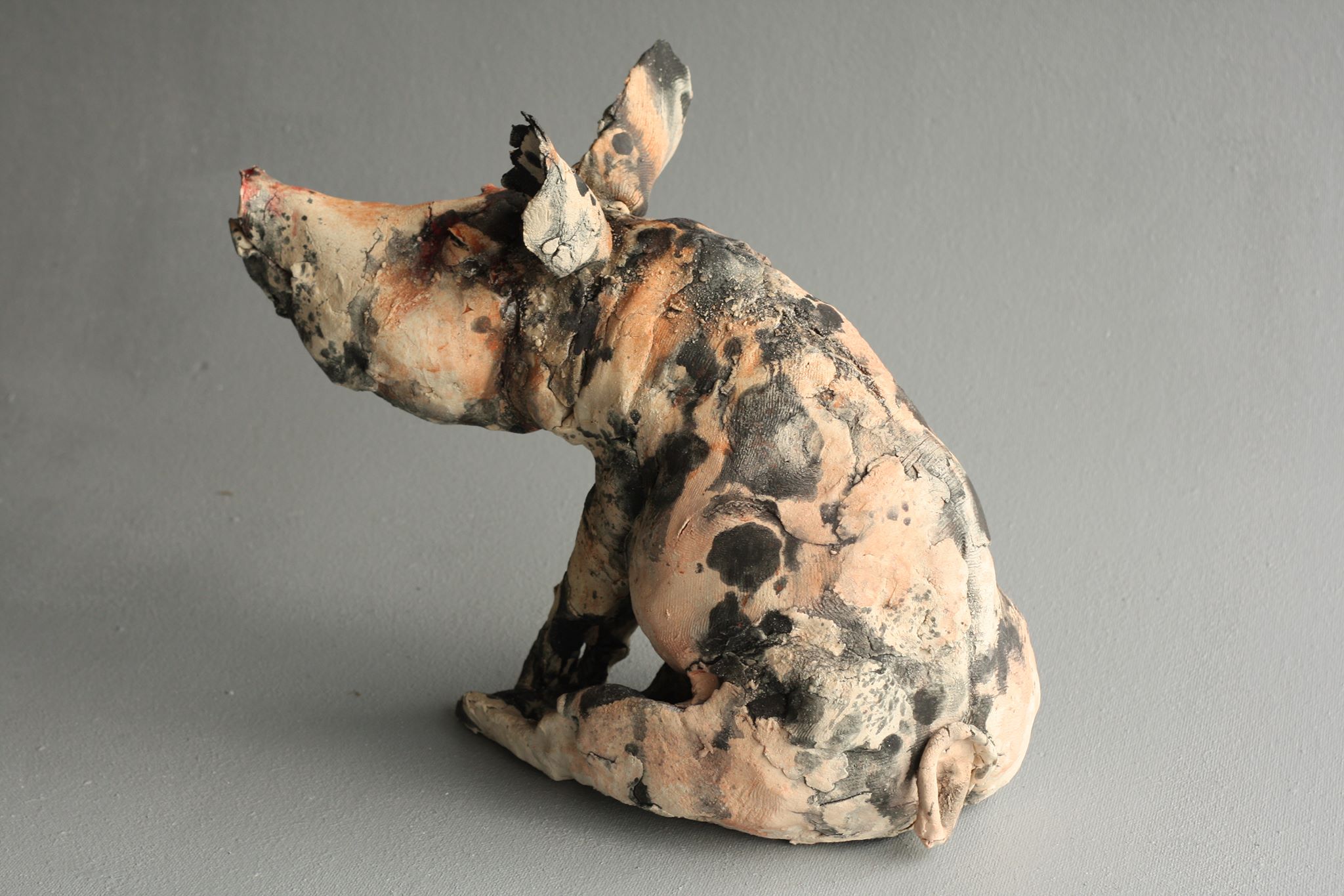 Gaynor Ostinelli – cochon – sculpteur ceramiste
