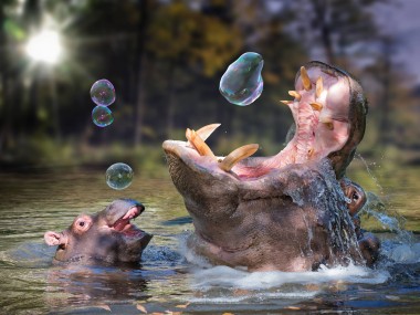 John Wilhelm is a photoholic -Playing around after a great meal / retouches photos