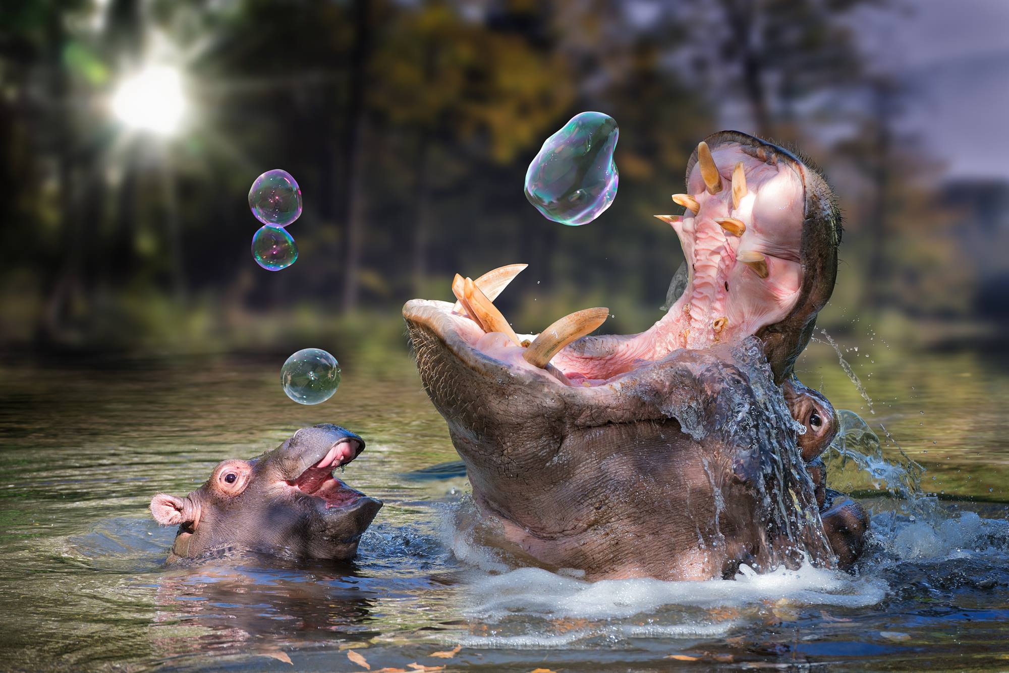 John Wilhelm is a photoholic -Playing around after a great meal / retouches photos