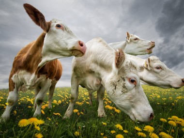 John Wilhelm is a photoholic -The Horde / retouches photos