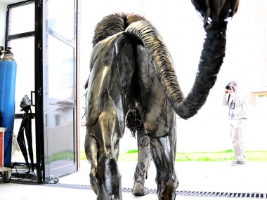 Selçuk Yılmaz – Lion back – Steampunk sculpture