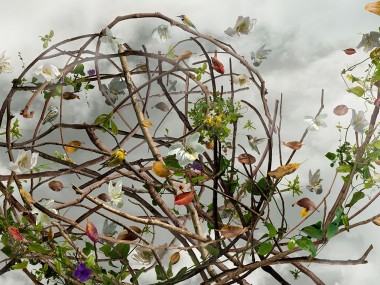 Ysabel-Lemay – Visual floral art