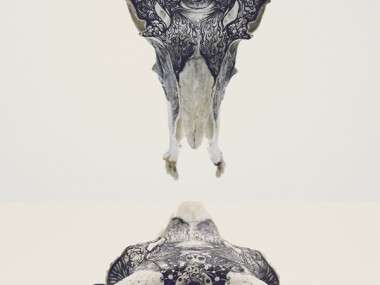 DZO – artist illustration – fine art skull