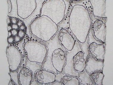 Mixed media Textile Artist – Kerry Mosley / Organic