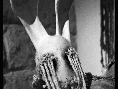 Paul Toupet – sculptures / bunny creature