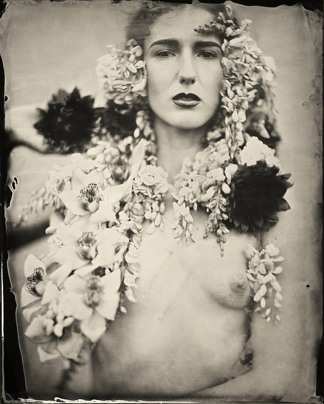 ED ROSS – Neptunian Haze / Wet Plate Photographer